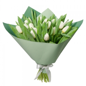 Белые тюльпаны 25
